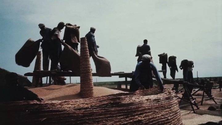 地标70年（三）｜那些年，浩荡的知青大军涌进东北，留下了什么