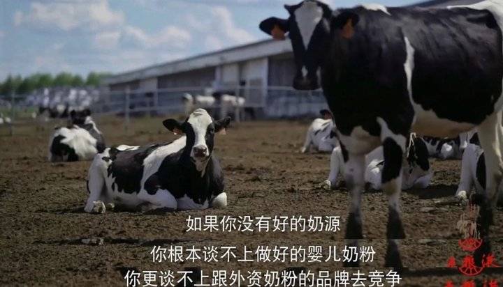 地标70年（三）｜那些年，浩荡的知青大军涌进东北，留下了什么