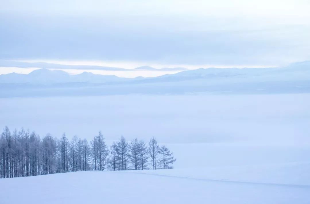 为什么北海道在海边还会下雪(北海道为什么是丰饶之“海”？)