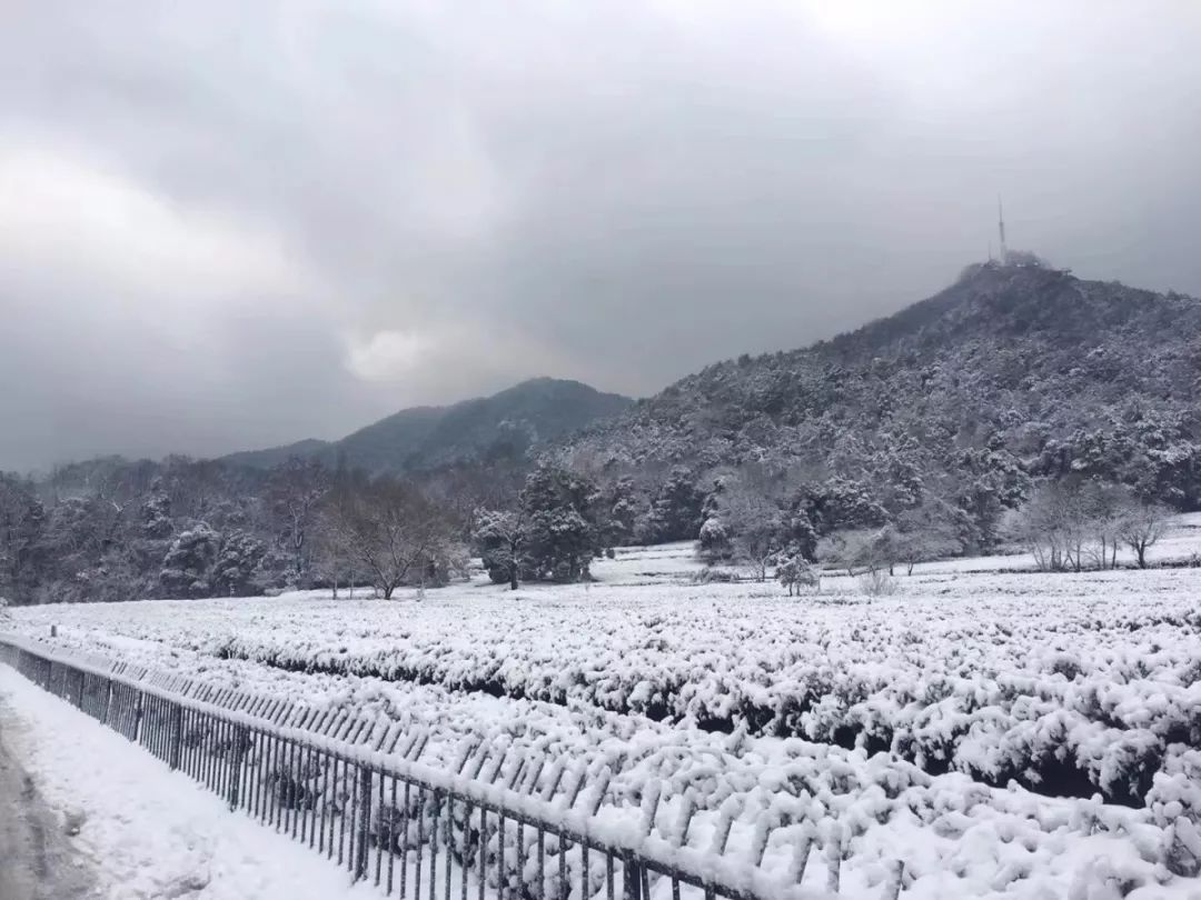 西湖雪景欣赏攻略——六个不容错过的赏雪宝地，多图！