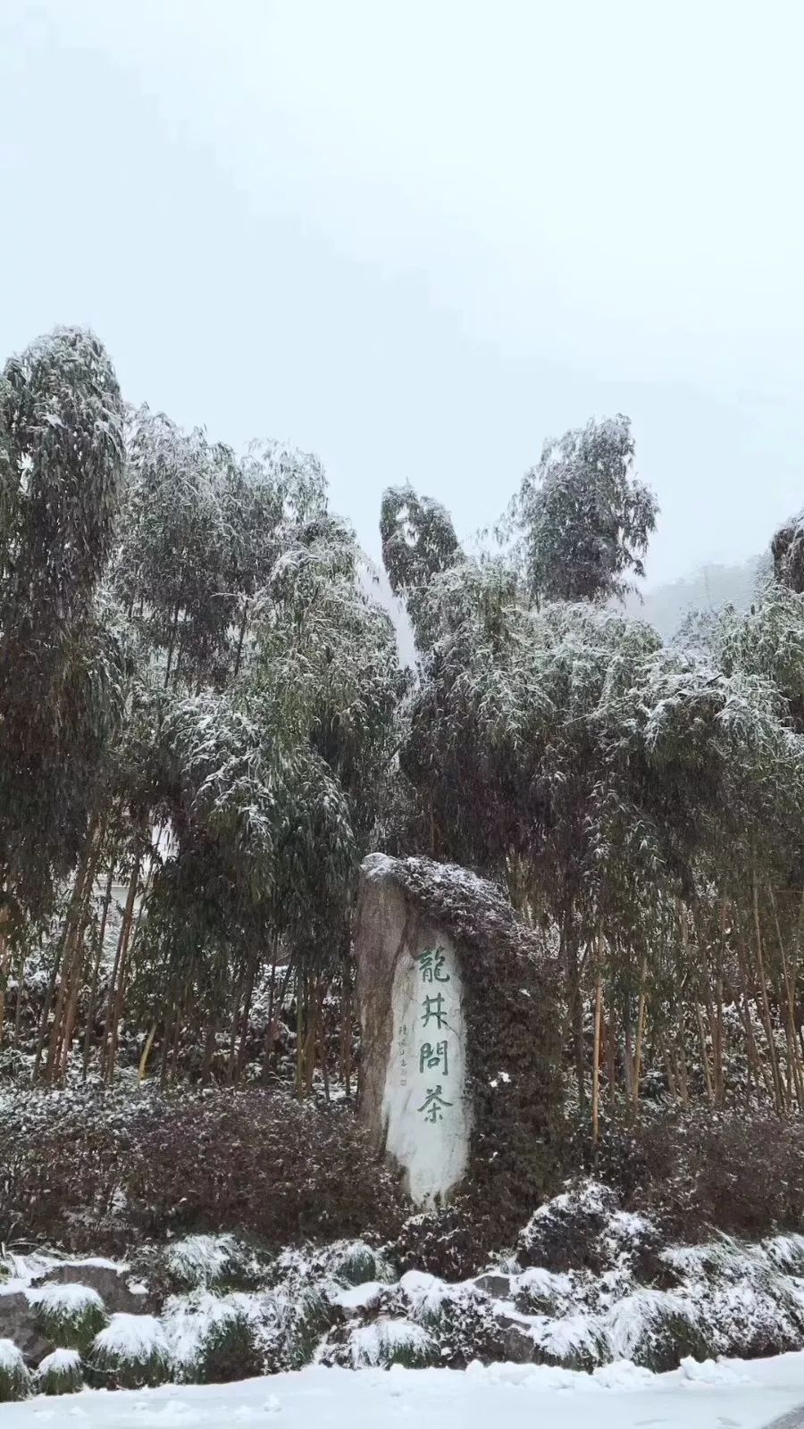 西湖雪景欣赏攻略——六个不容错过的赏雪宝地，多图！