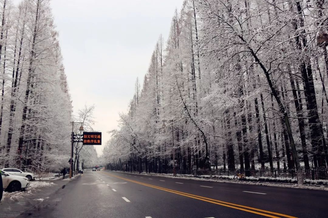 西湖雪景欣赏攻略——六个不容错过的赏雪宝地，多图！