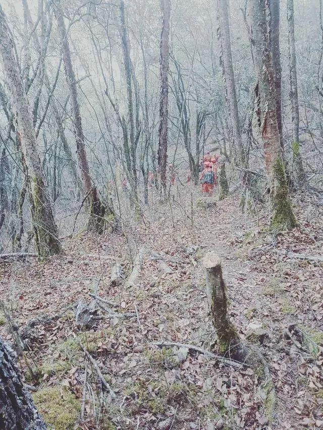 他们，在人群中匆匆走过