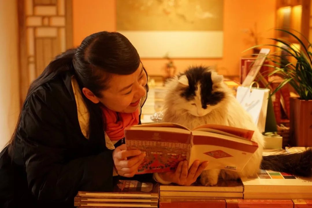 故宫里面有什么(me)著名的景点（故宫(gong)里面有什么著名的景点(dian)英文）-第14张图片-大(da)连信息网