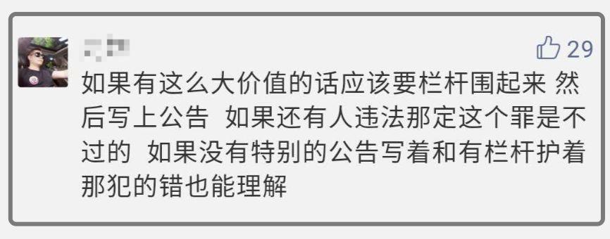 三清山巨蟒峰损毁案二审宣判：判决驳回上诉，维持原判