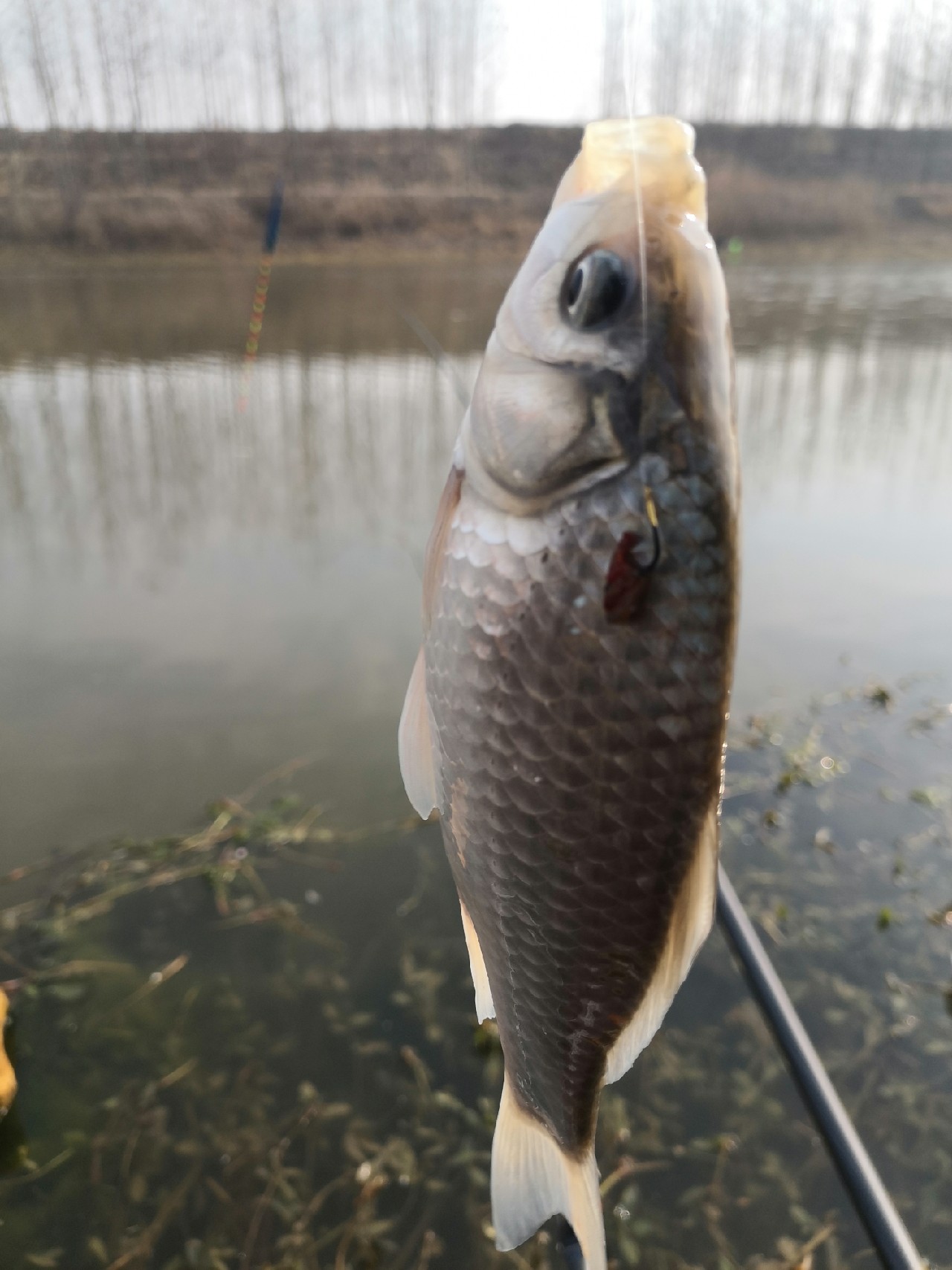 不为鱼获只为快乐，小钓台改便携式拉饵台