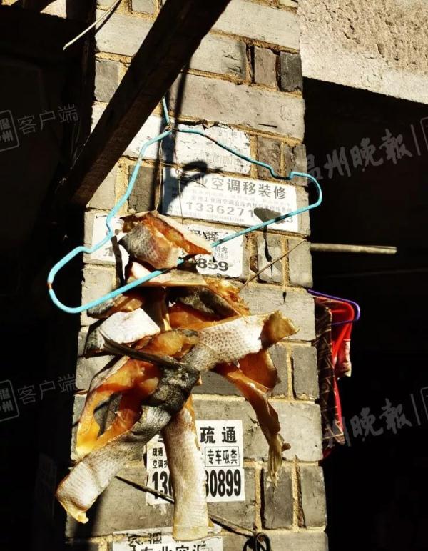 紧急提醒:所有人注意!这种鱼千万不要买,太害人