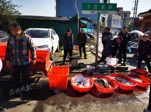 紧急提醒:所有人注意!这种鱼千万不要买,太害人