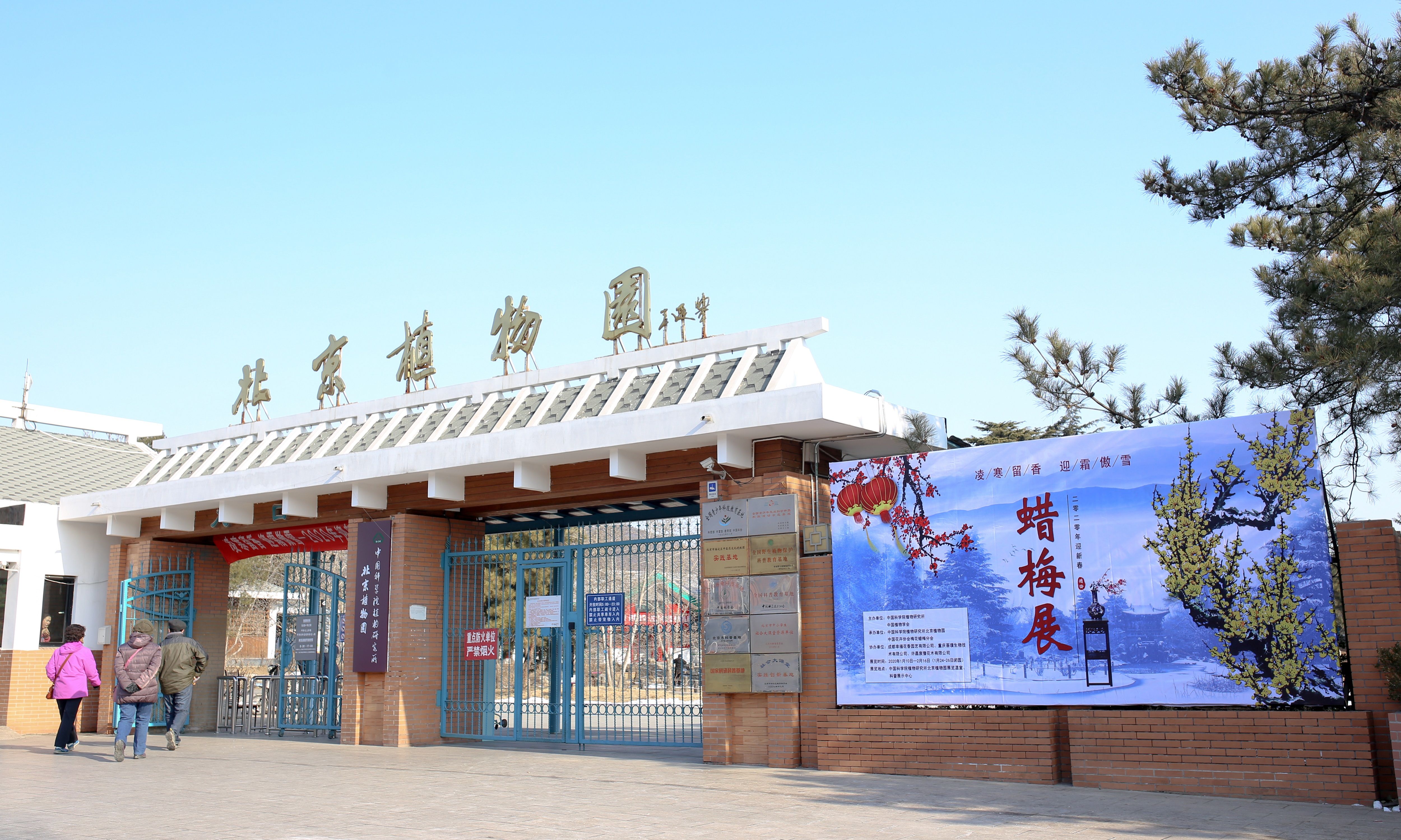 北京花卉(北京花卉市场)