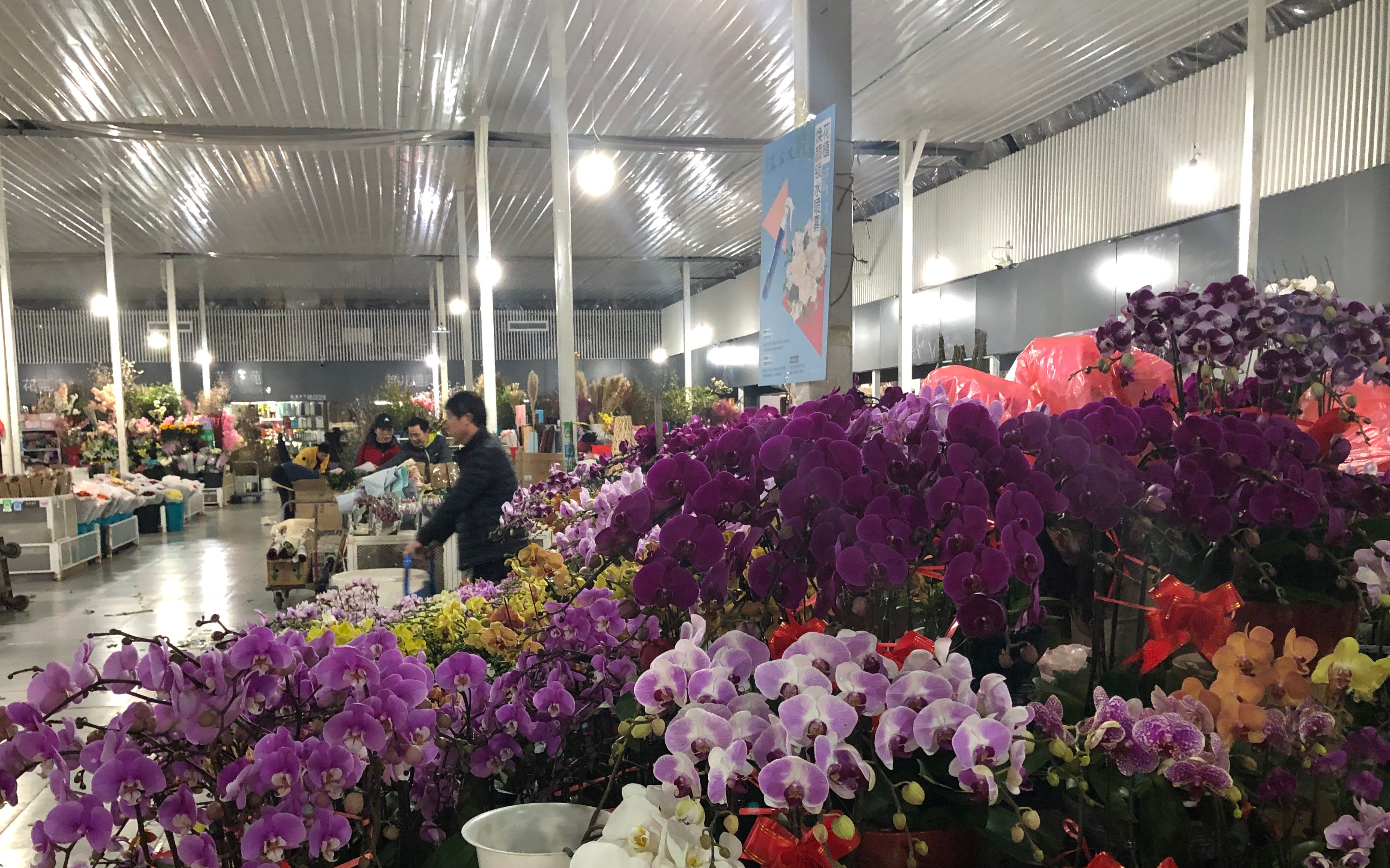 在朝阳区王四营的花花市界,京蜜发现了很多摊位售卖蜡梅.