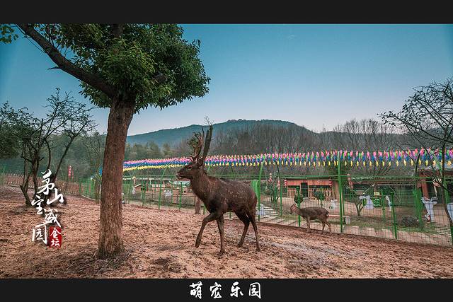 春节去哪？江苏茅山自驾冬游记：约泡竹海小野温汤，山宿隐奢网红酒店