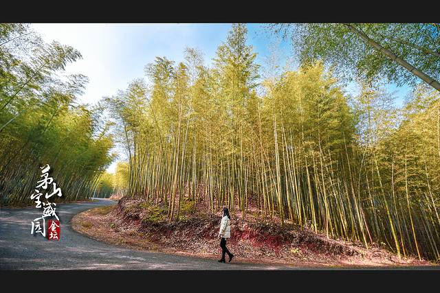 春节去哪？江苏茅山自驾冬游记：约泡竹海小野温汤，山宿隐奢网红酒店