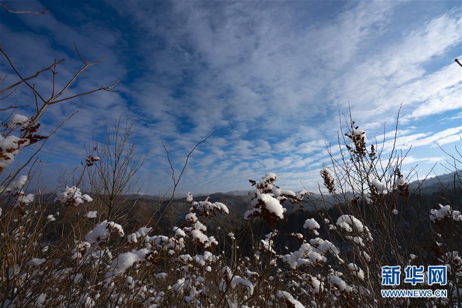 走向雪山深处的巡线工人