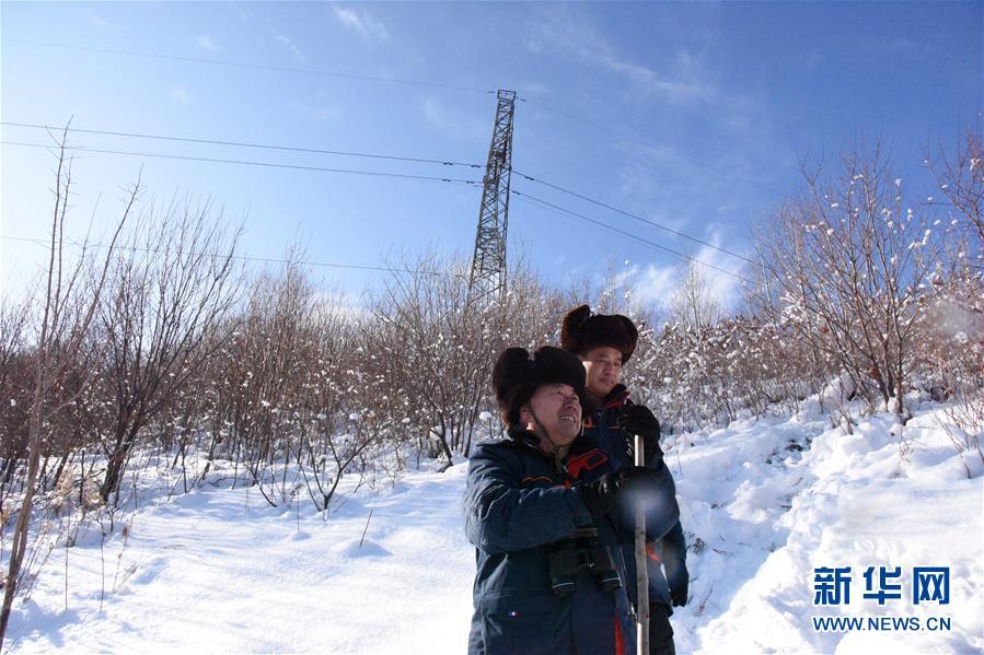 走向雪山深处的巡线工人