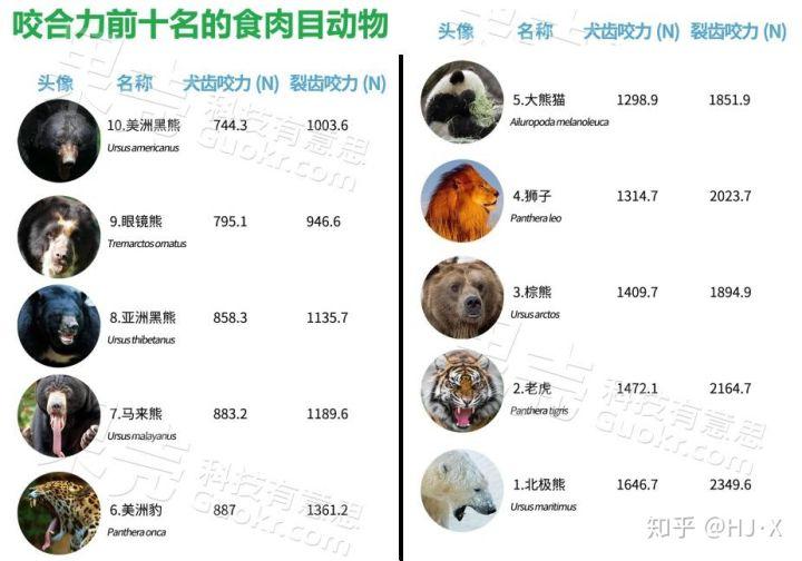 新知问答｜熊猫凭什么在“国宝”动物里排第一？