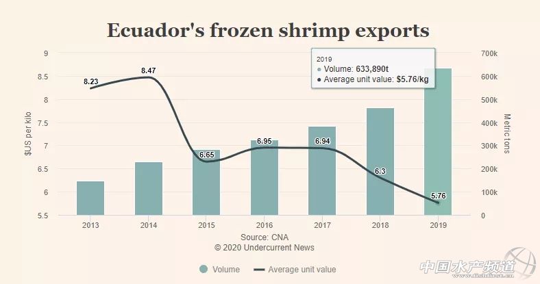 超40万吨厄瓜多尔白虾卖往中国，价格跌至五年最低