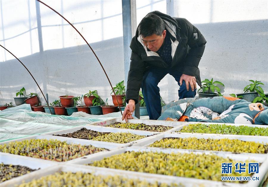 「新春走基层」西藏白朗：“菜篮子”助百姓走上致富路