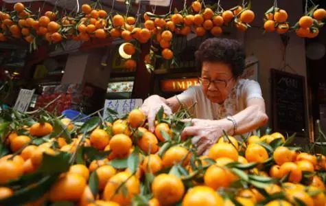 过春节的国家有哪些地区，全球各个国家的春节