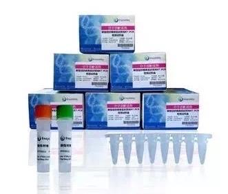 华工企业生产的酶制剂助力病毒检测，产量可满足50万次检测需要