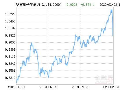 「行业持仓」什么是量子基金（最新净值涨幅达4.95%）