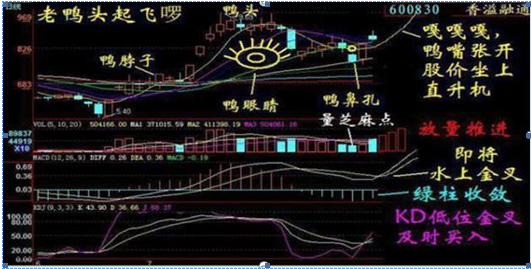 老鸭头之父自创“老鸭头”战法：5年15万赚890万，整整翻了60倍！一辈子只炒“老鸭头”这种牛票