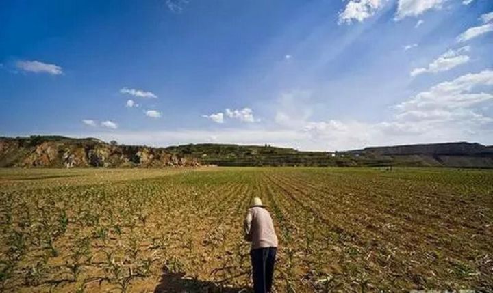 「原创」农村土地集体所有承包制的发展优势研究