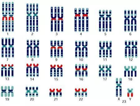 百家姓最新排名出炉：你的乡关在何处？