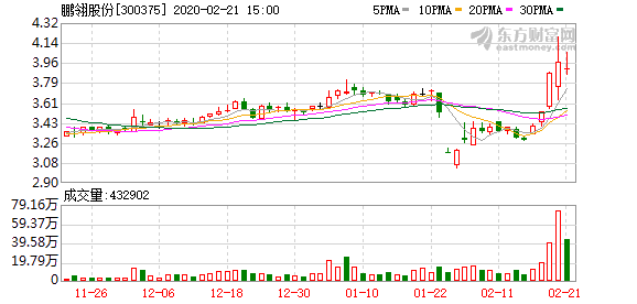 鹏翎股份是一支什么样的股票