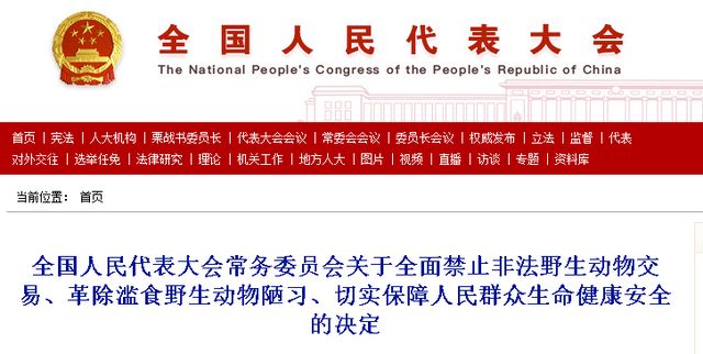 乒乓球蛇球为什么被禁(海参、鲍鱼、知了猴、蜂蛹到底还能不能吃？还有法律空间没？)