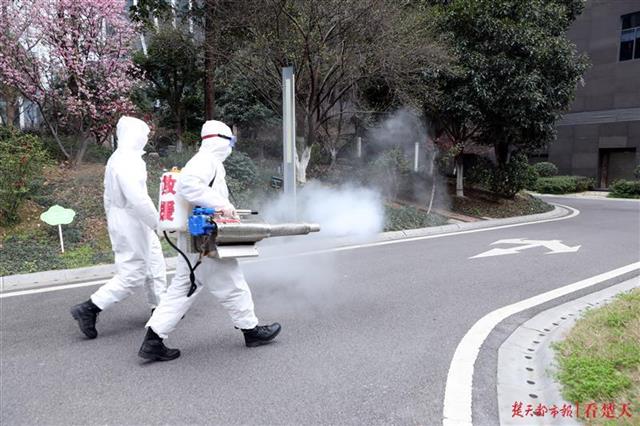 武汉战友牺牲两年后，山东援鄂战士登门看望他的母亲