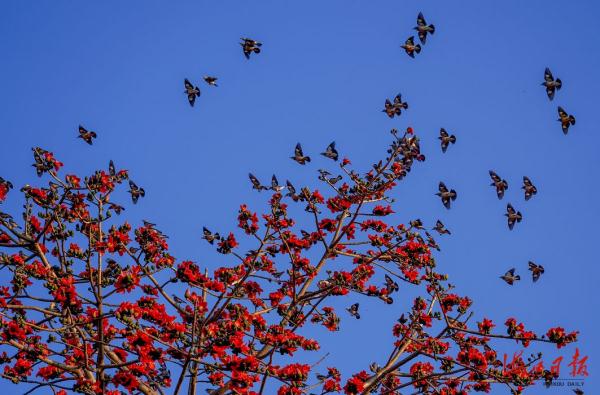 抢时间、抢进度！海口重点项目正快马加鞭