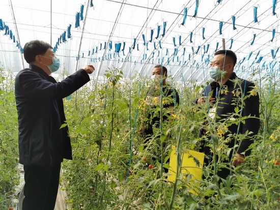 新民市纪委监委疫情期间精准监督 助力全市农业生产