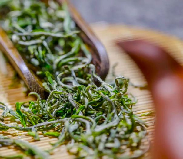 春天里的茶香 | 除了西湖龍井，杭州還有哪些茶？