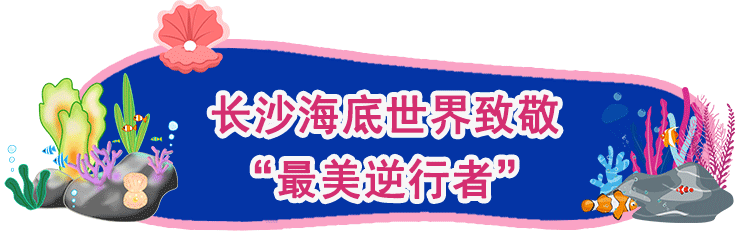 门票99元！长沙海底世界3月21日开园