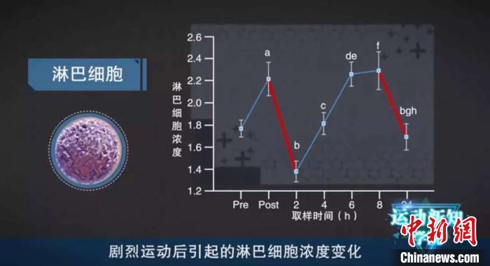 索契国际青少年世界杯击剑(运动员为何在新冠肺炎疫情中频频“中招”？)