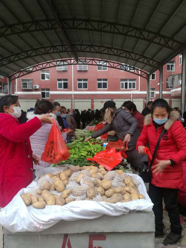 今日吉阳蒜苔价格「金乡蒜苔价格 今日」