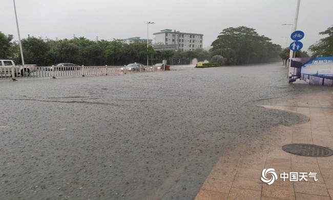 春雨是什么颜色的（春雨是什么颜色的答案）-第7张图片-科灵网