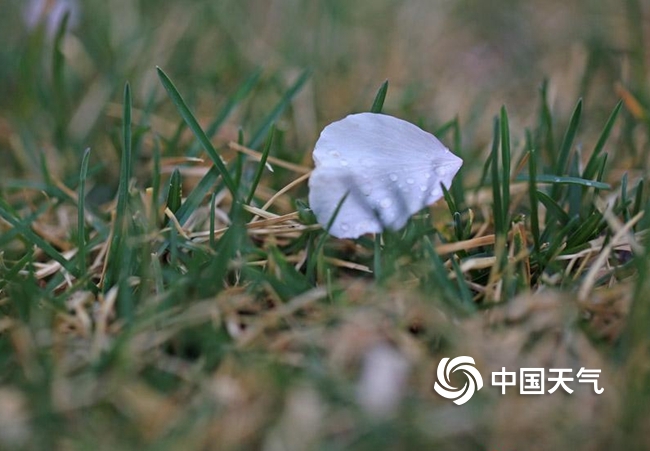 春雨是什么颜色的（春雨是什么颜色的答案）-第13张图片-科灵网