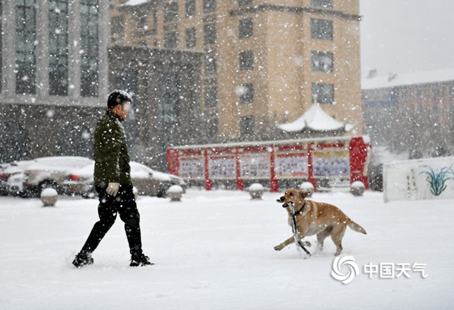 春雨是什么颜色的（春雨是什么颜色的答案）-第16张图片-科灵网