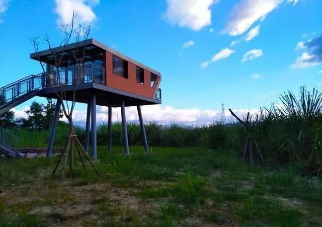 仓山旅游 | 春光明媚，一起去公园走走吧！