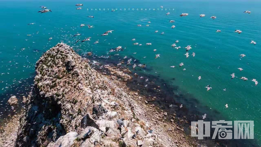 探寻“老海岛”精神 情系千里海防——烟台海防老兵忆车由岛情