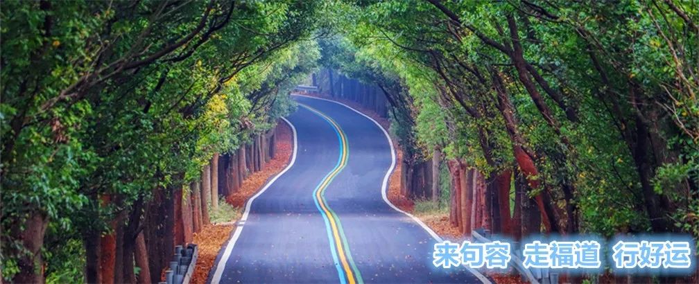 关于公布对交警执法有异议咨询投诉渠道的通知