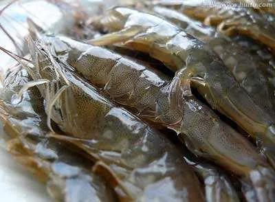 疫情之下，2020年全球养殖虾类量价或齐跌