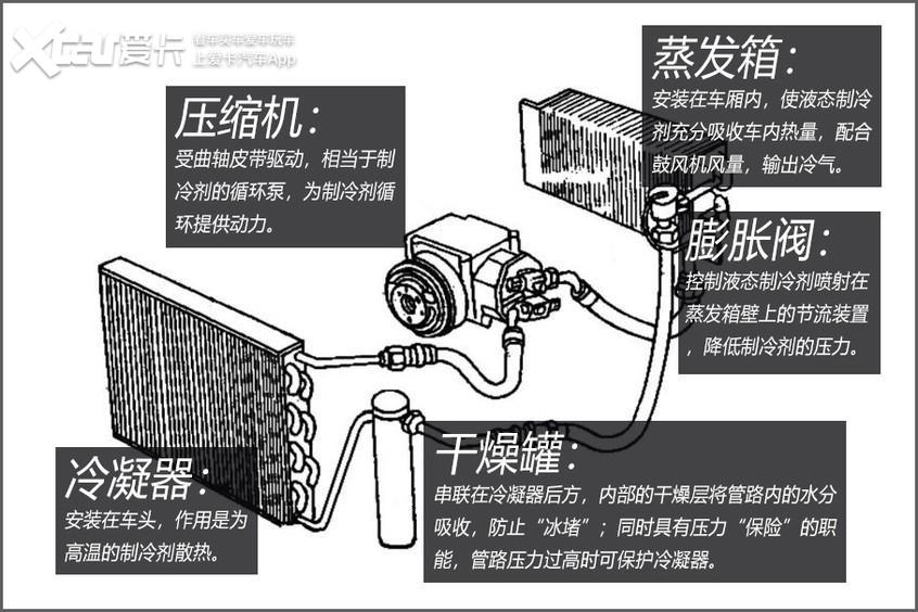 柳絮对汽车造成多大伤害？不看不知道一看吓一跳