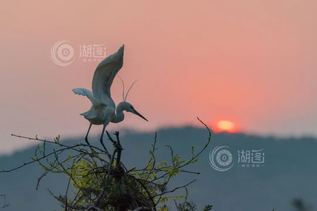 湖州四中白鱼潭校区具体地址(招生预警)