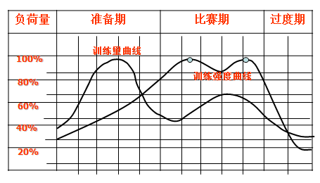 传统“大周期”训练分期的生物逻辑基础
