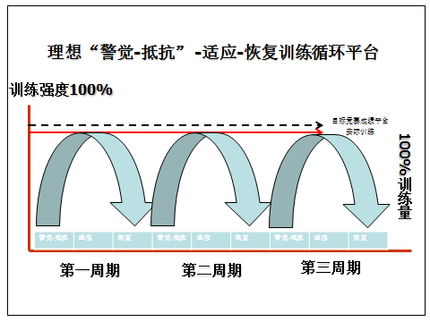 传统“大周期”训练分期的生物逻辑基础