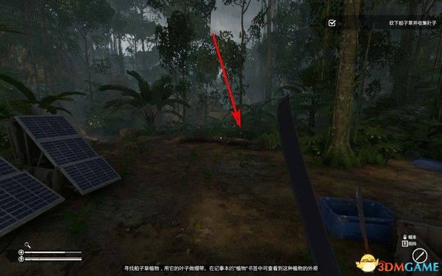 《绿色地狱》全流程图文攻略 通关任务要点攻略