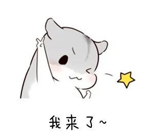 ⑤西北政法大学篇｜等你接龙！法制网硬核推出专属法学毕业生的“云招聘”