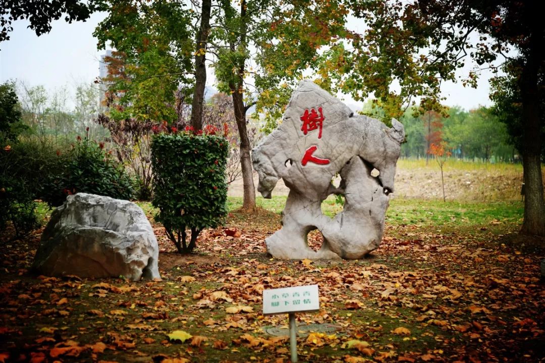 聚焦 | 南京铁道职业技术学院2020年提前招生简章